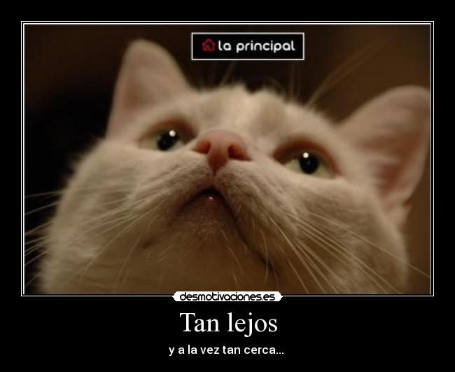 Tan lejos - 