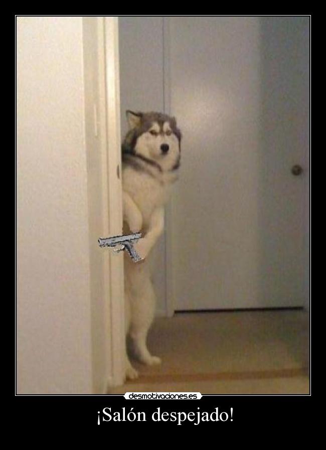 ¡Salón despejado! -