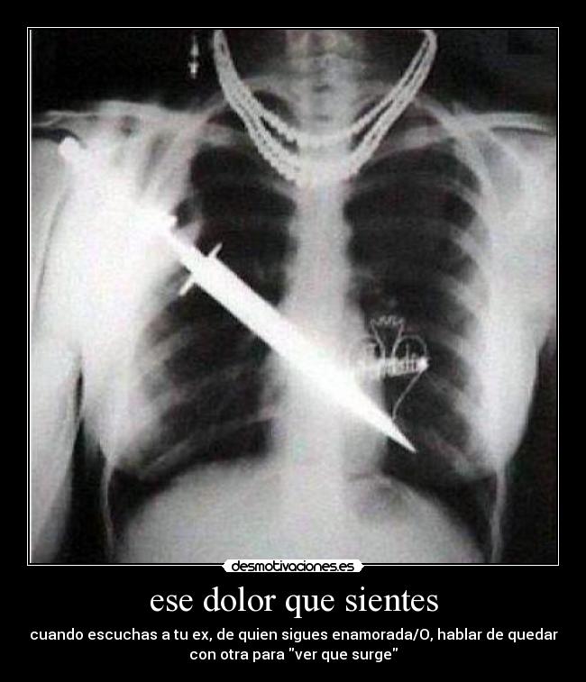 carteles dolor dolor desmotivaciones