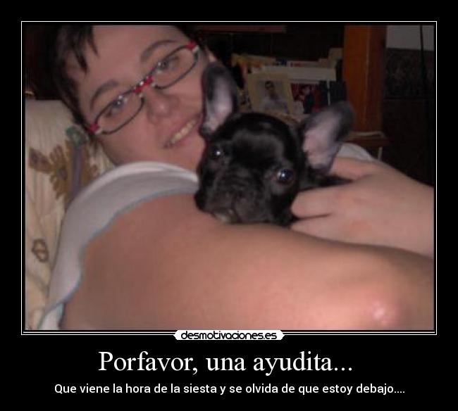Porfavor, una ayudita... -