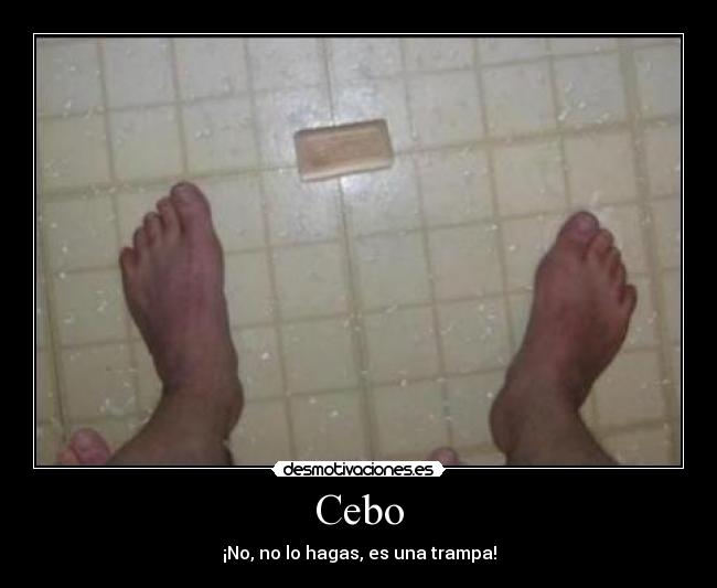 Cebo - ¡No, no lo hagas, es una trampa!