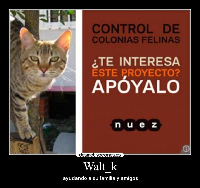 Walt_k - ayudando a su familia y amigos