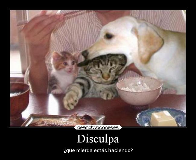 Disculpa - ¿que mierda estás haciendo?