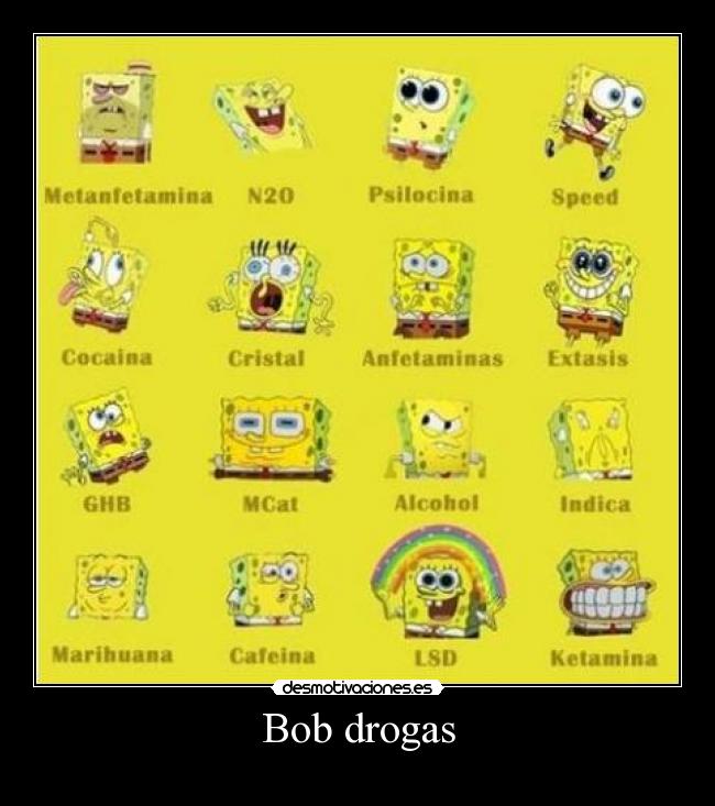 Bob drogas - 