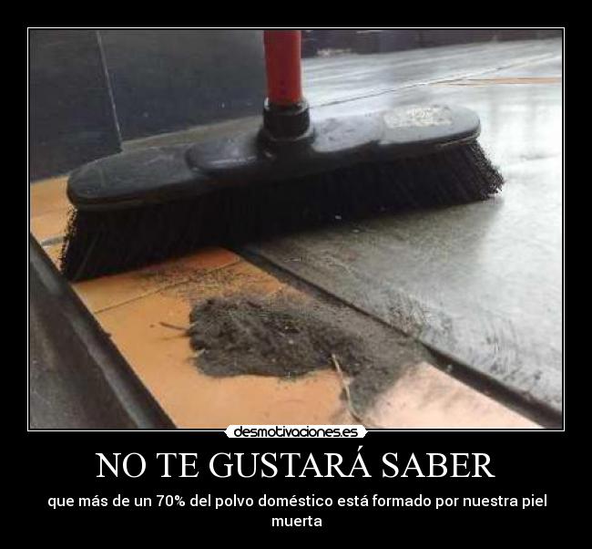 NO TE GUSTARÁ SABER - 