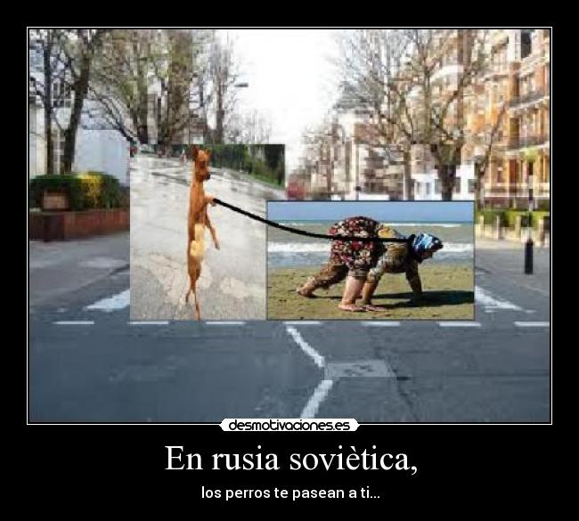 En rusia soviètica, - los perros te pasean a ti...