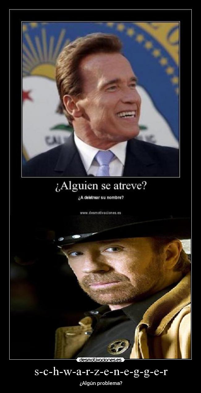 carteles chuk norris desmotivaciones