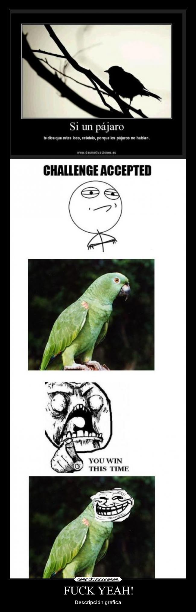 FUCK YEAH! - Descripción grafica