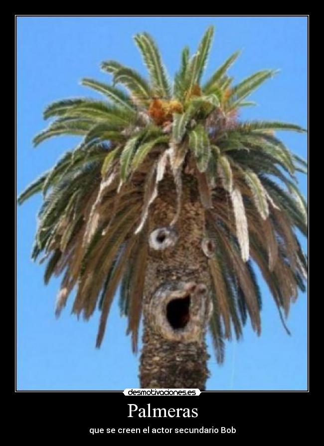 Palmeras - que se creen el actor secundario Bob