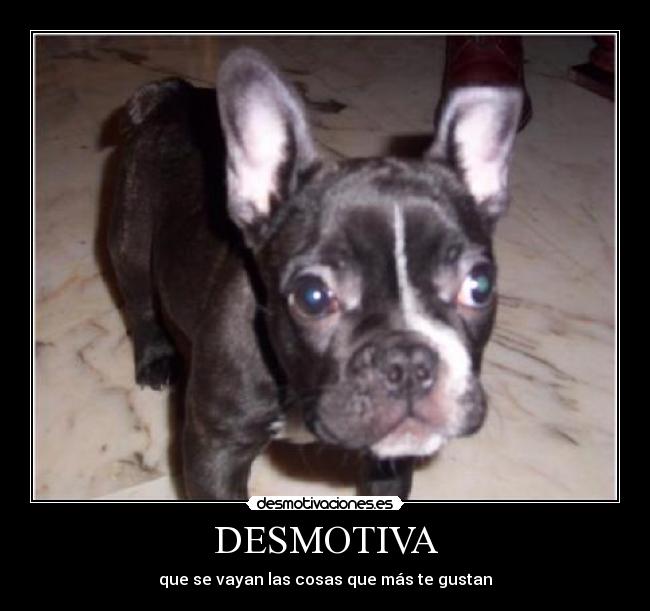 DESMOTIVA -
