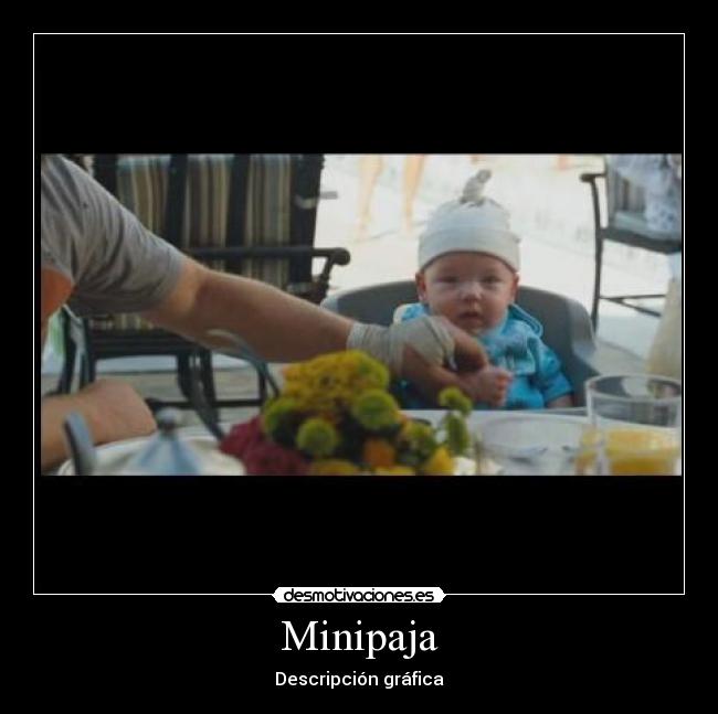 Minipaja - Descripción gráfica