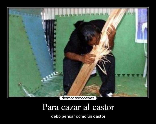 Para cazar al castor - debo pensar como un castor