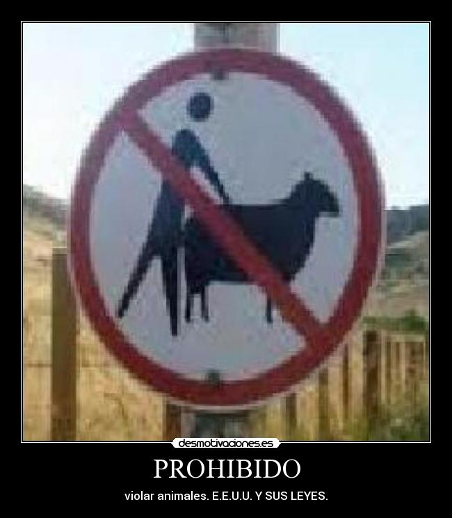 PROHIBIDO - violar animales. E.E.U.U. Y SUS LEYES.