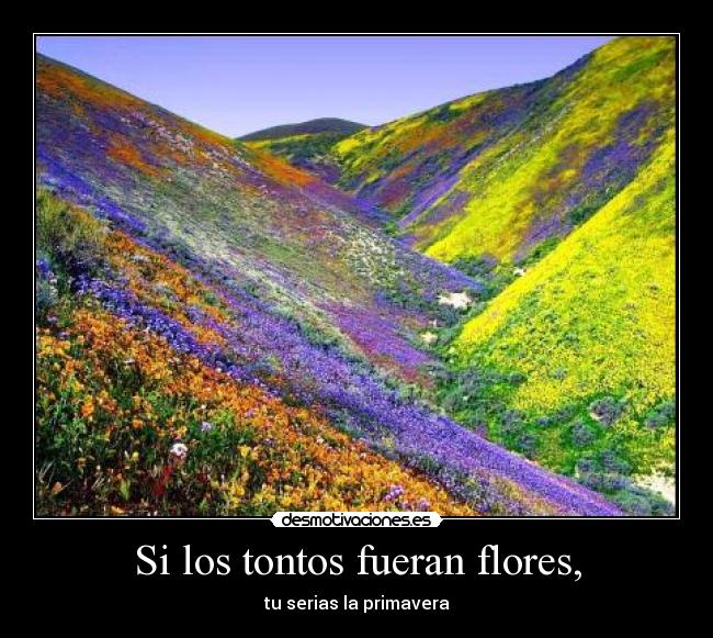 Si los tontos fueran flores, - tu serias la primavera