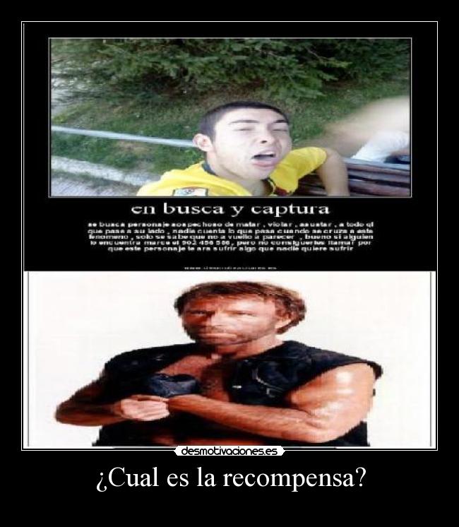 ¿Cual es la recompensa? -