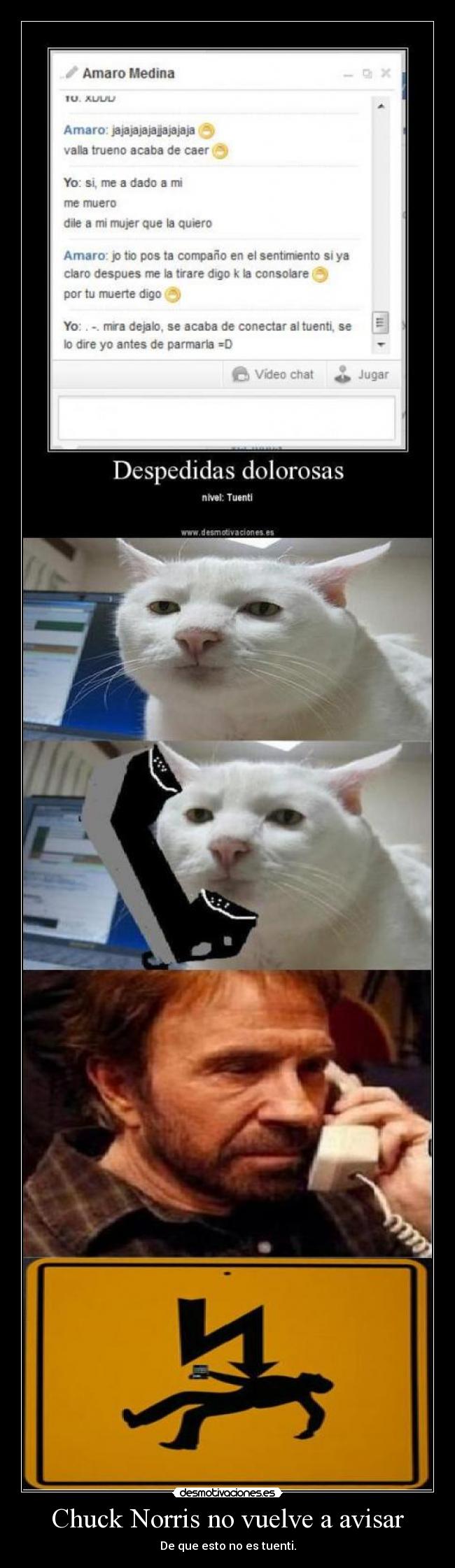 Chuck Norris no vuelve a avisar - 