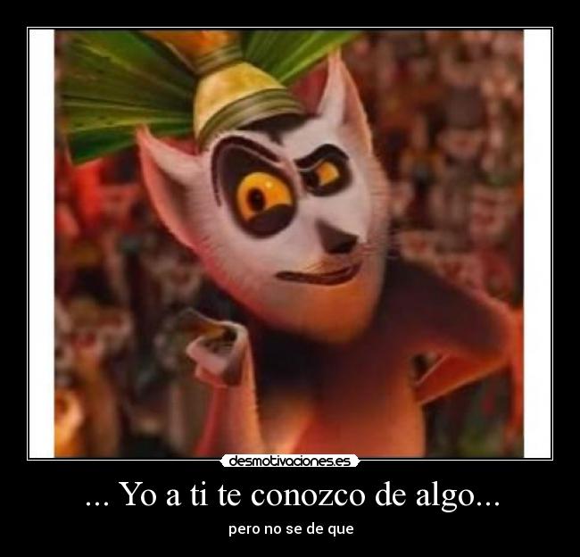 carteles encuentros conocer lemur desmotivaciones