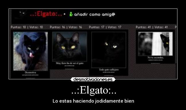 ..:Elgato:.. - Lo estas haciendo jodidamente bien