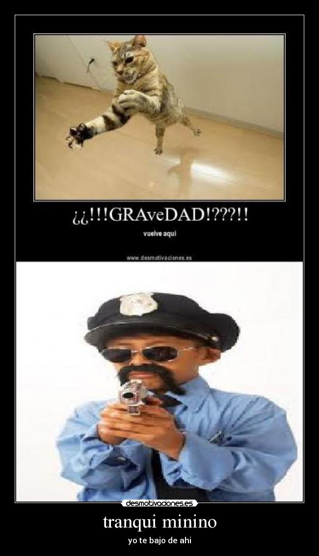 tranqui minino - yo te bajo de ahi