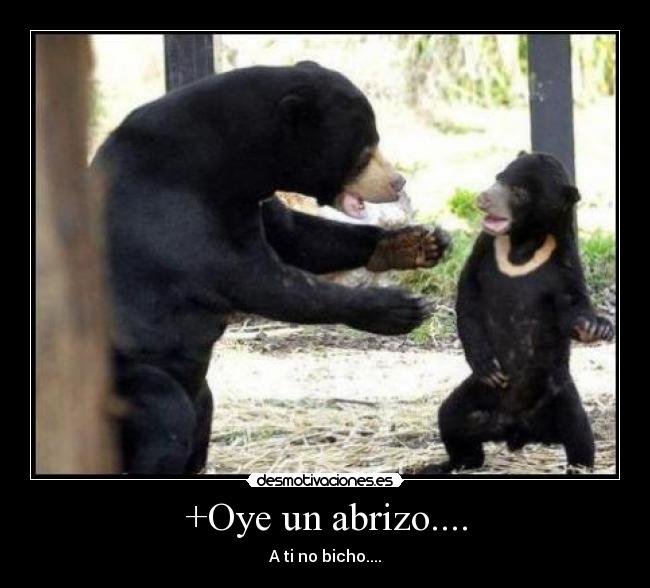 +Oye un abrizo.... - A ti no bicho....