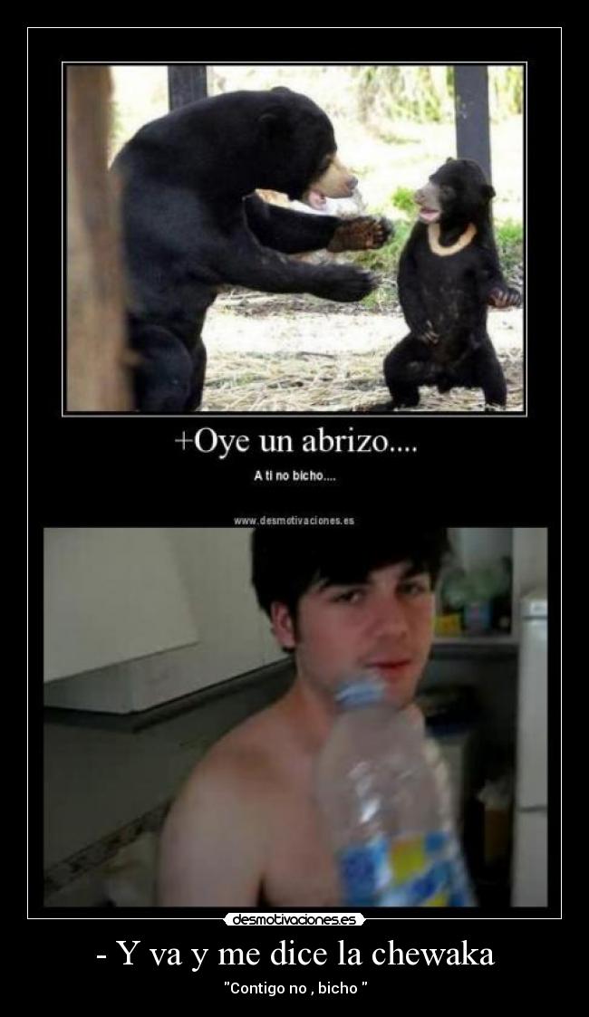 - Y va y me dice la chewaka - Contigo no , bicho