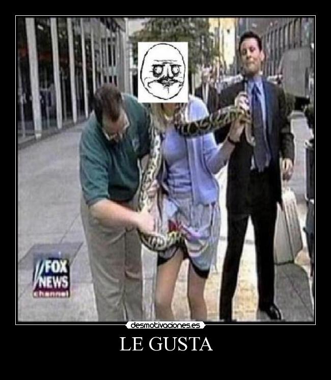 LE GUSTA -