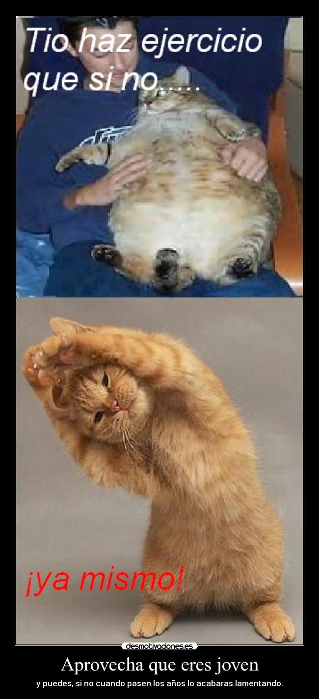 Aprovecha que eres joven -
