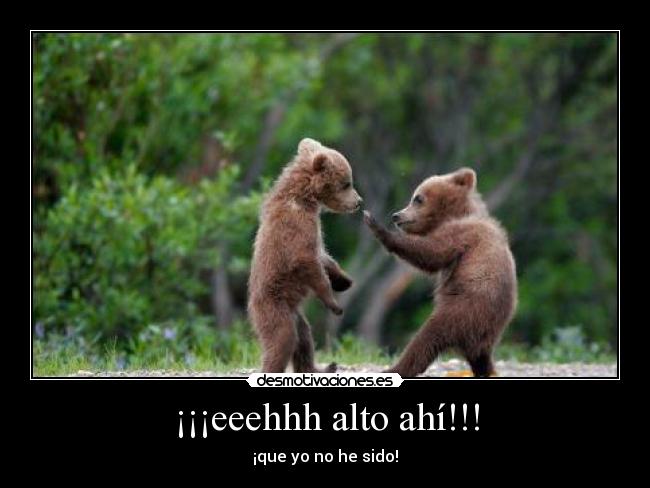 ¡¡¡eeehhh alto ahí!!! - ¡que yo no he sido!