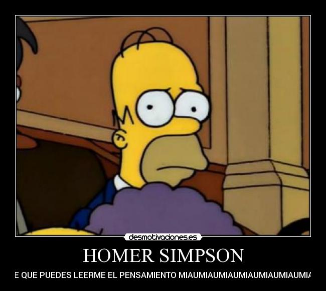 HOMER SIMPSON -