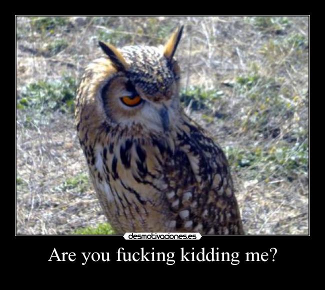 Are you fucking kidding me? -