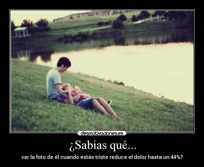 ¿Sabias qué... - 