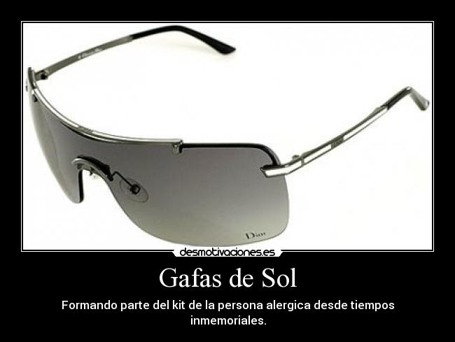 Gafas de Sol - 