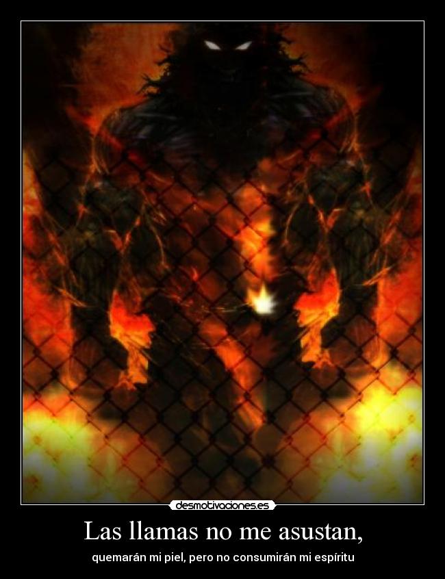 carteles las llamas asustan quemaran piel pero consumiran espiritu desmotivaciones