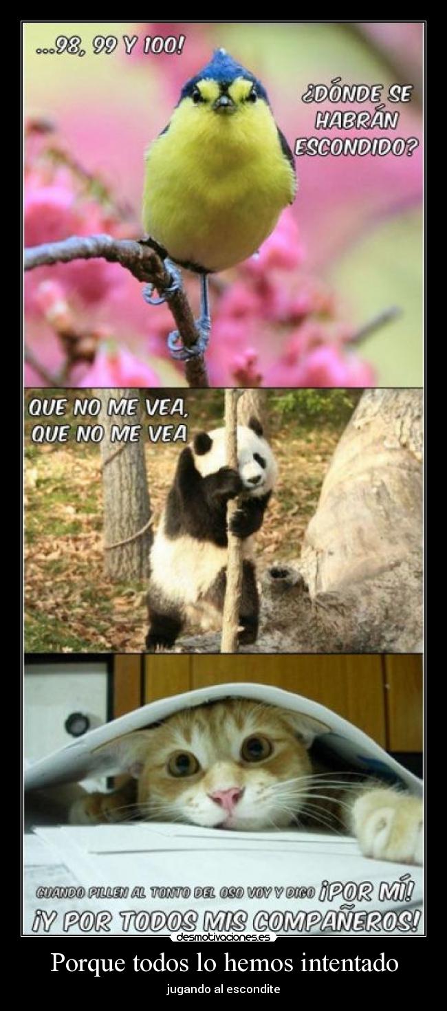 Porque todos lo hemos intentado - 