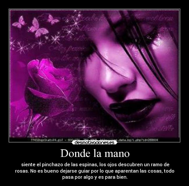 Donde la mano - siente el pinchazo de las espinas, los ojos descubren un ramo de
rosas. No es bueno dejarse guiar por lo que aparentan las cosas, todo
pasa por algo y es para bien.