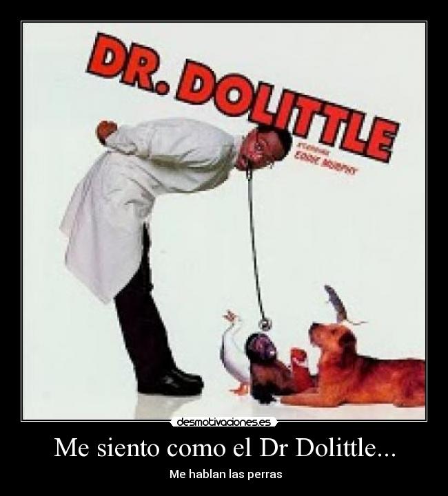 Me siento como el Dr Dolittle... - Me hablan las perras