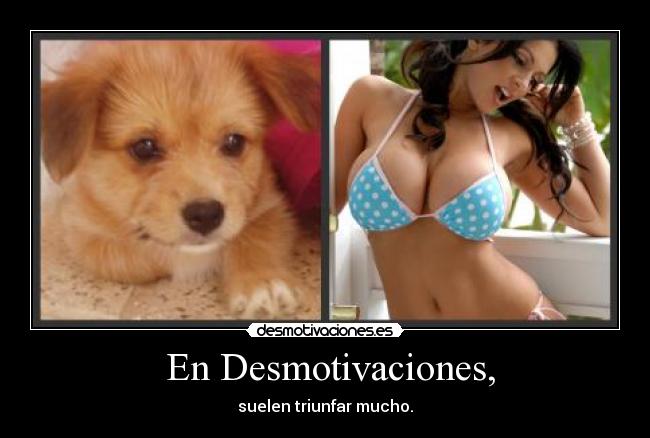 En Desmotivaciones, - suelen triunfar mucho.