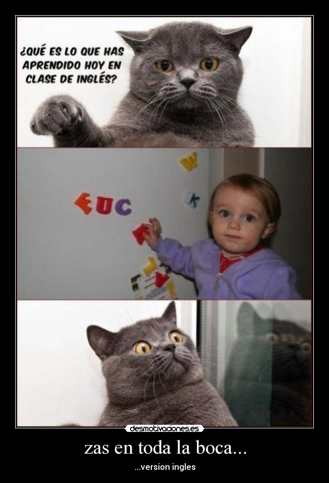 zas en toda la boca... -