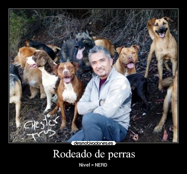 Rodeado de perras - 