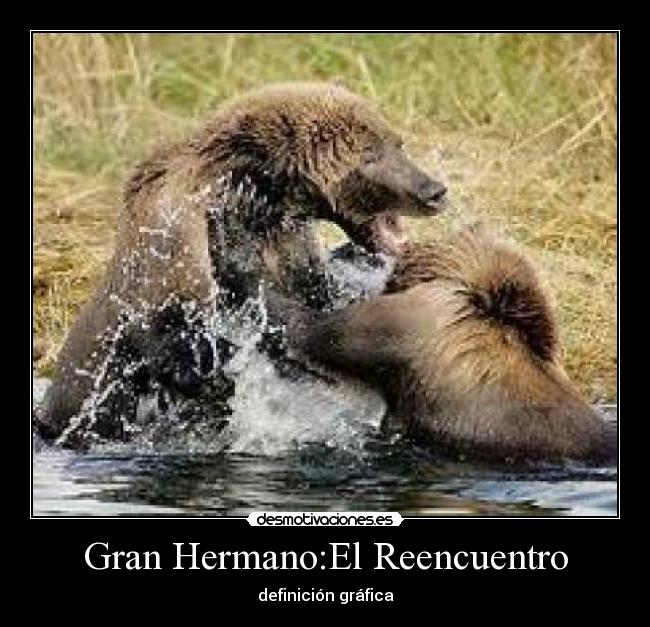 Gran Hermano:El Reencuentro - definición gráfica