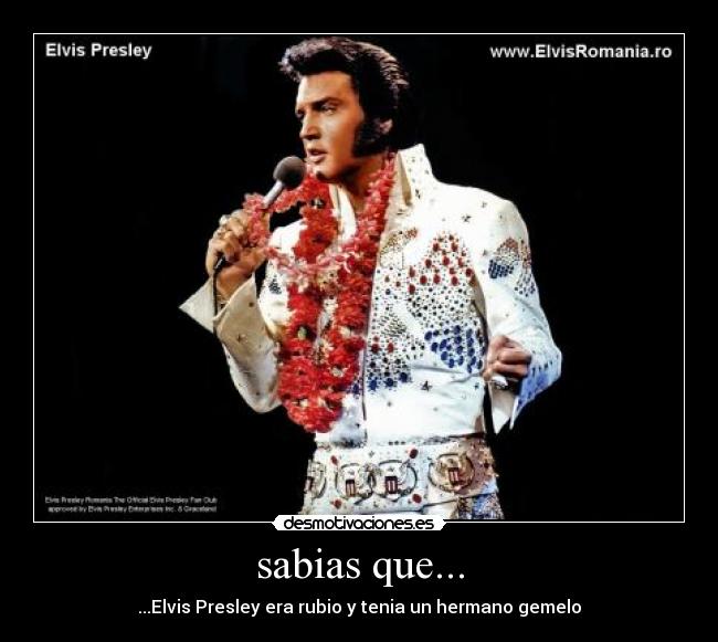 carteles elvis presley desmotivaciones