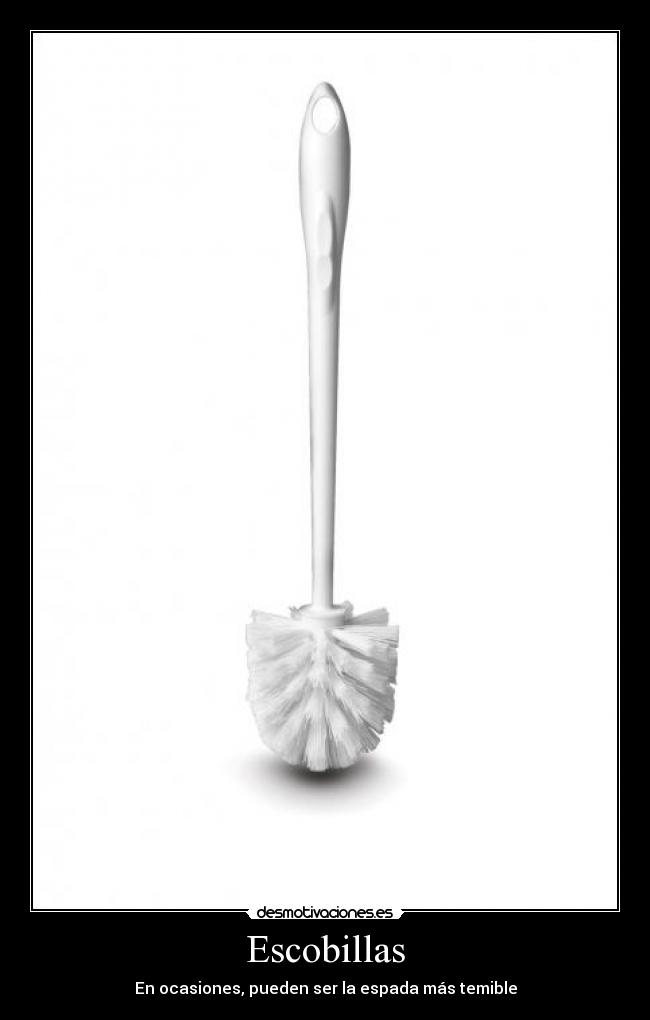 Escobillas - 