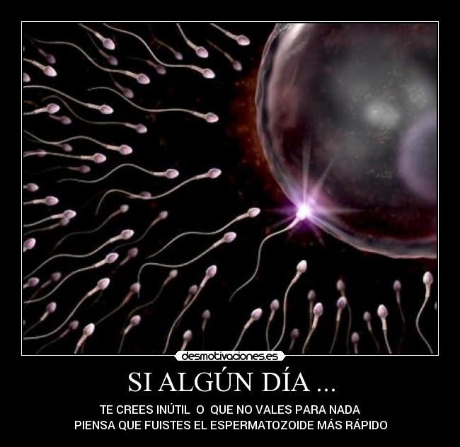 carteles bigfoot desmotivaciones