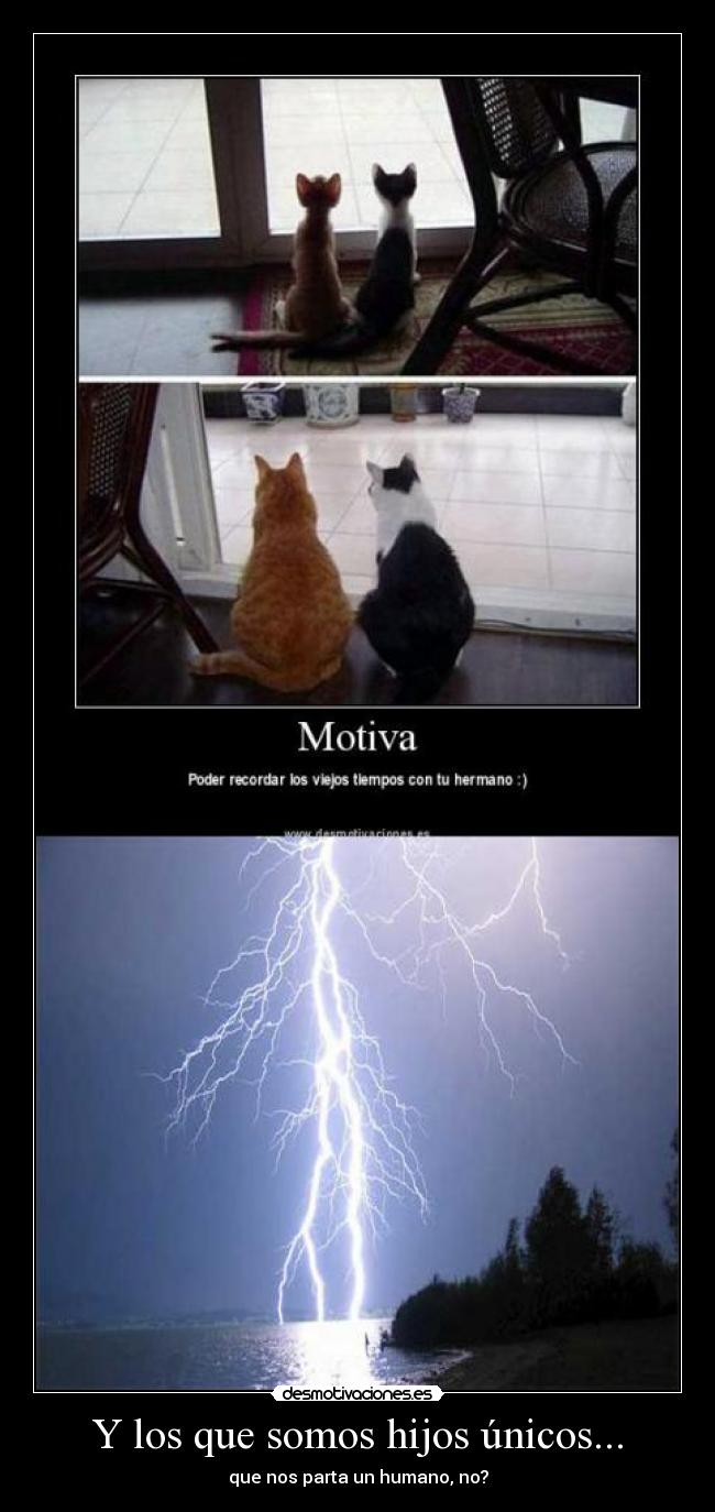 Y los que somos hijos únicos... - 