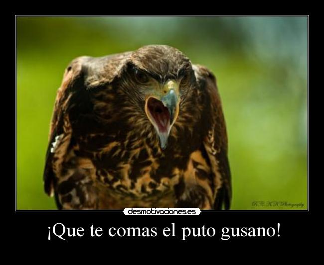 ¡Que te comas el puto gusano! -