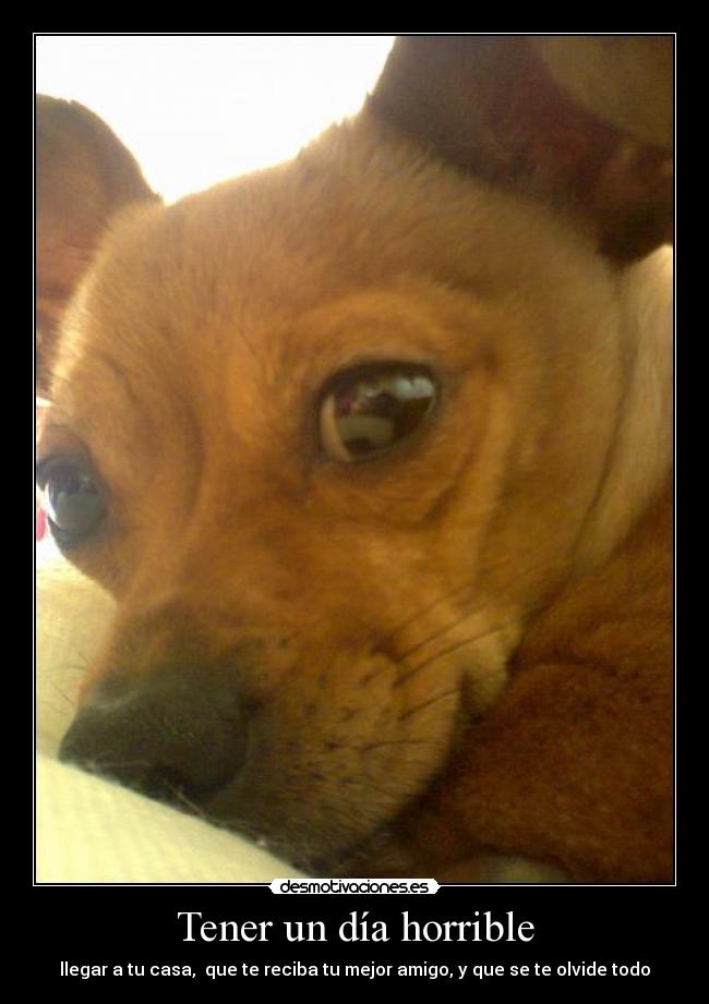 Tener un día horrible - 