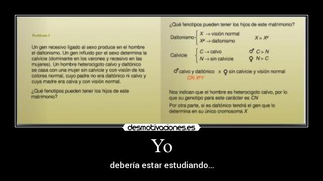 Yo - debería estar estudiando...