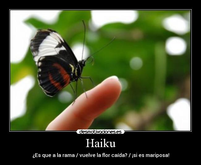 carteles haikumariposa desmotivaciones