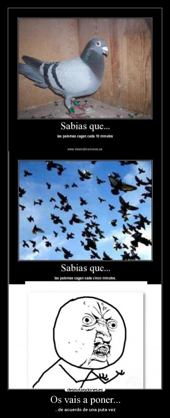 Os vais a poner... - ...de acuerdo de una puta vez