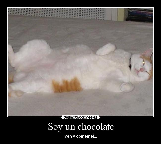 Soy un chocolate - ven y comeme!...